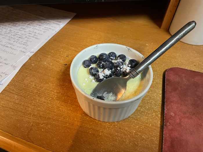 refreshing-honeydew-panna-cotta-recipe