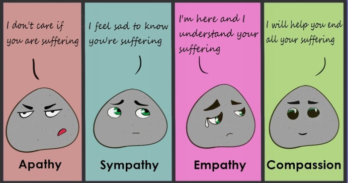 The image depicts the differences between various emotions such as apathy, sympathy, empathy and compassion.