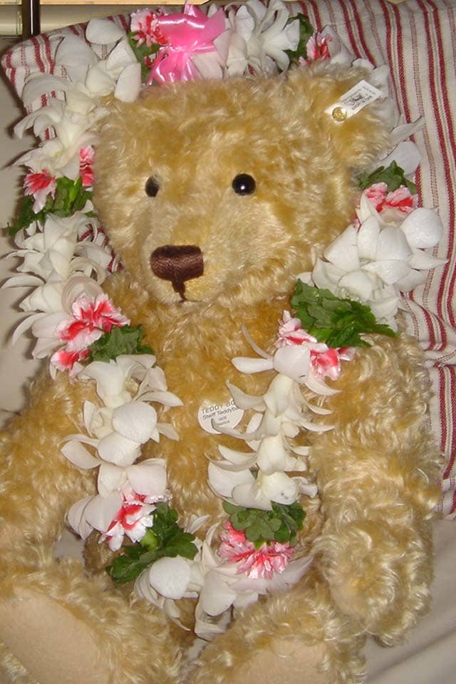 Ted wears a lei made of white orchids, pink carnations and green leaves. This lei was made by Besse's Lei Stand, Honolulu airport. Hi Besse!