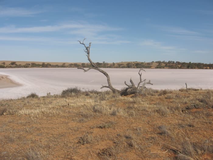 Many pink lakes will vary in color, depending on the salt concentration. Check the local conditions before planning a trip to avoid disappointment!