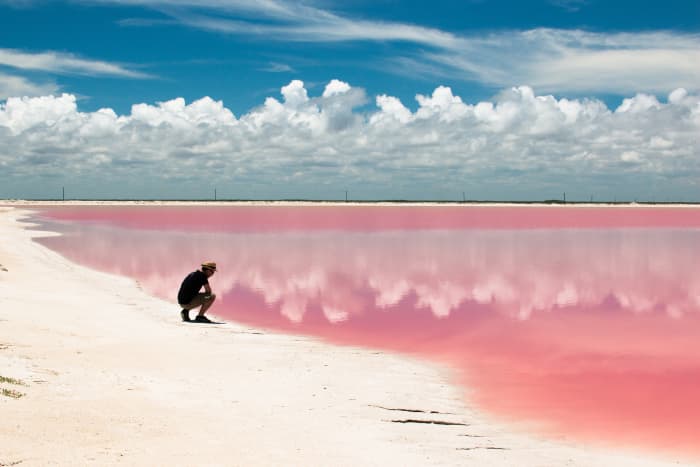 The pink lake in Rio Lagarto, Mexico is one of the most photographed pink lakes in the world due to tourism in the area.