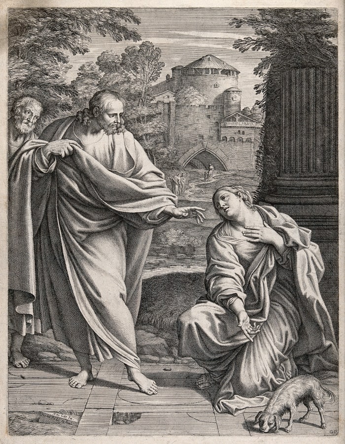 The Canaanite (or Syrophoenician) woman asks Christ to cure her possessed daughter; she points to a dog, to which she compares herself