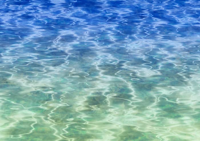 Using these steps, you should be able to remove the algae from your pool and prevent it from coming back.