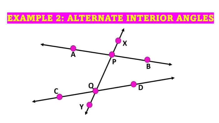 alternate-interior-angles-theorem-and-examples-owlcation