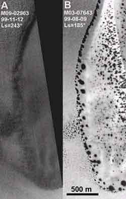 The seasonal dark spots that grow from spring onwards, are visible in the right-hand image, compared with the winter image on the left