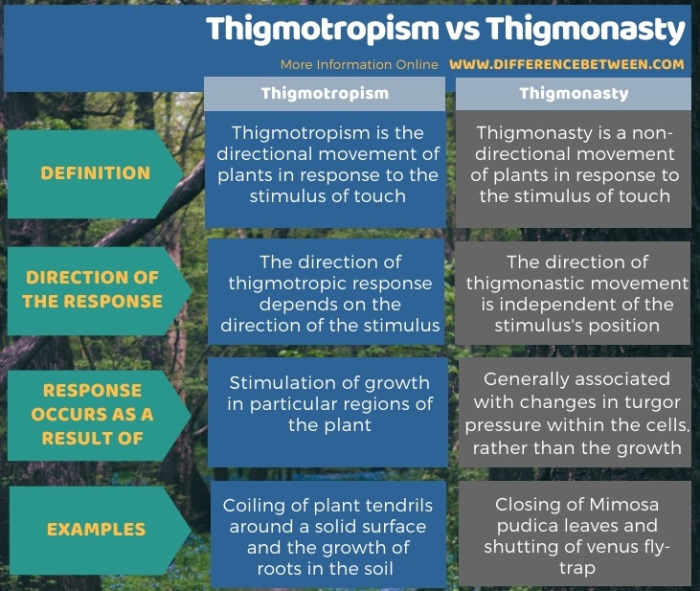 Do Plants Have Feelings? Owlcation