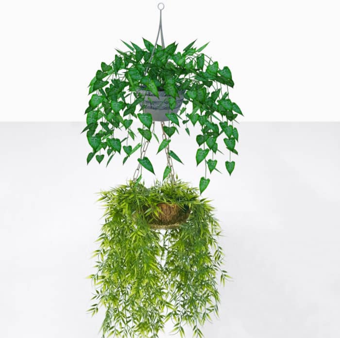 You can create plant tiers several ways: by hooking one plant under another, by putting potted plants into a tiered fruit basket, or by making a macrame hanger with containers for more than one plant.