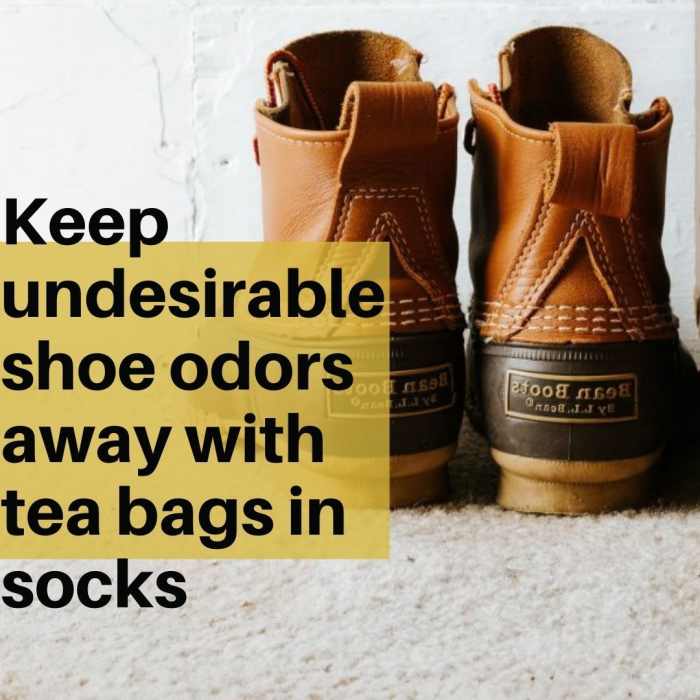 21 Creative Ways to Use Used Tea Bags Dengarden