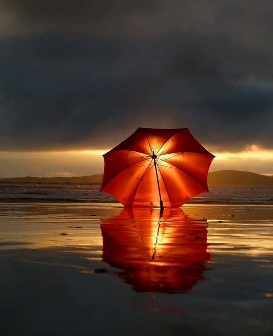Love is everywhere in the universe, if we can see it. It doesn't have to be placed only on one person or one thing that we think without it we can have no love.