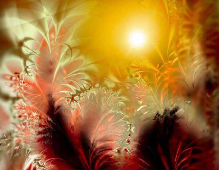 Blossoming in life in all dimensions, being happy, at ease with yourself and with everybody around you.