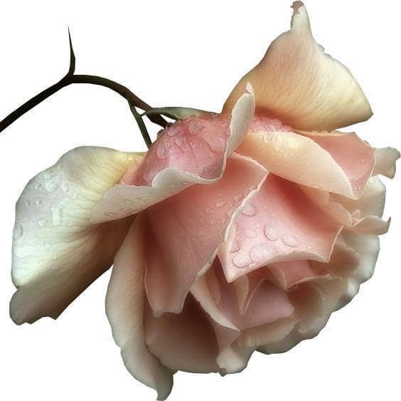 ... Love as an external focus, exterior to yourself, always bring a sense of vulnerability and always needing constant validation by someone or something.