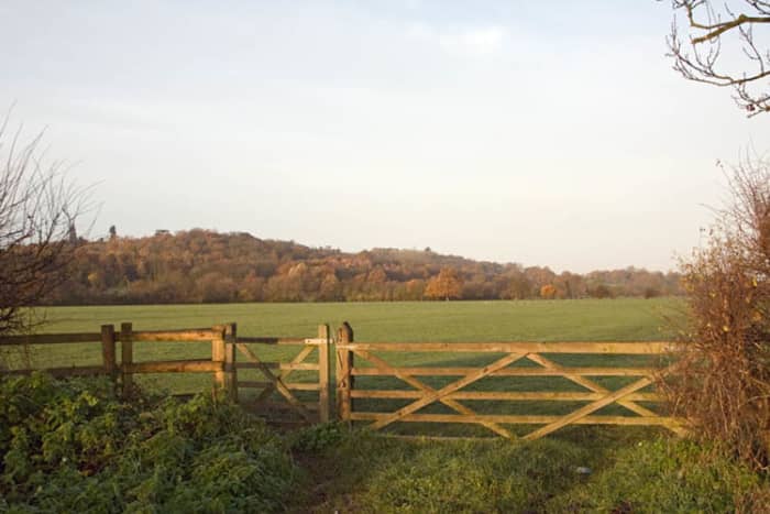 The unassuming meadow where the Magna Carta was sealed. After a false start, the document secured greater civil rights for the people of England