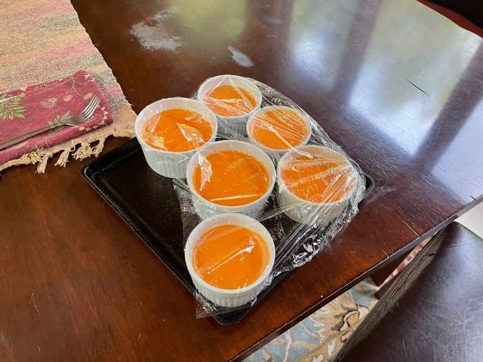 creamy-watermelon-panna-cotta-recipe