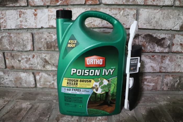 Ortho’s poison ivy killer is formulated with Triclopyr. Do not use in areas with small trees, as the herbicide penetrates wood and will kill nearby ornamental shrubs and trees.