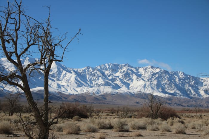 Poison ivy requires warmth and moisture to grow, and is not found in deserts or above 4,000 feet altitude.
