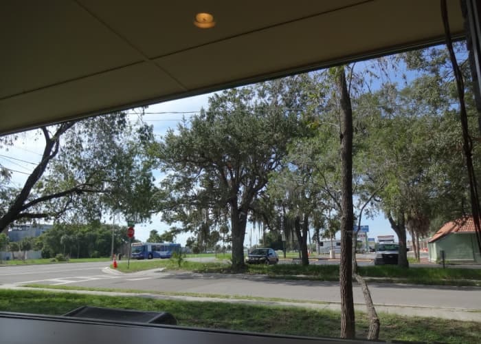 I looked out at the former Burger King next to the shopping center where we worked together at a hair salon.