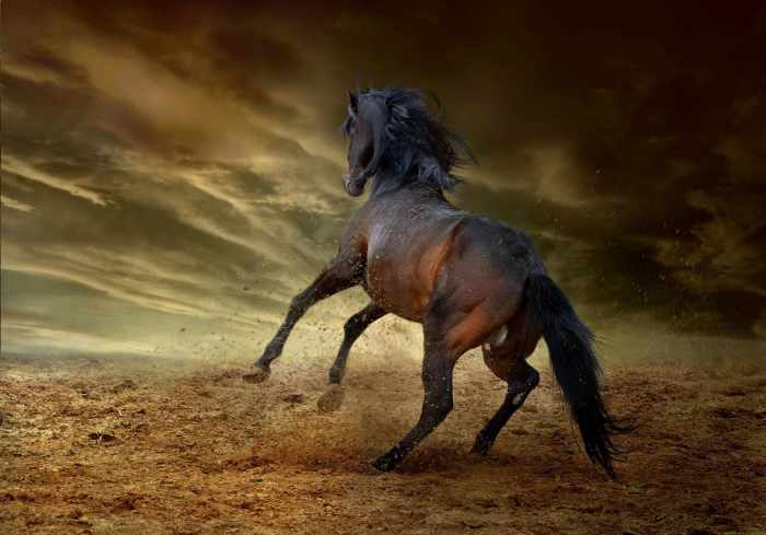 Freedom Stays an Elusive Concept All Until and Unless We Notice How We Are Not Really Free