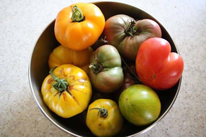 Properly balance nutrients, including calcium and magnesium, to grow the best tomatoes.
