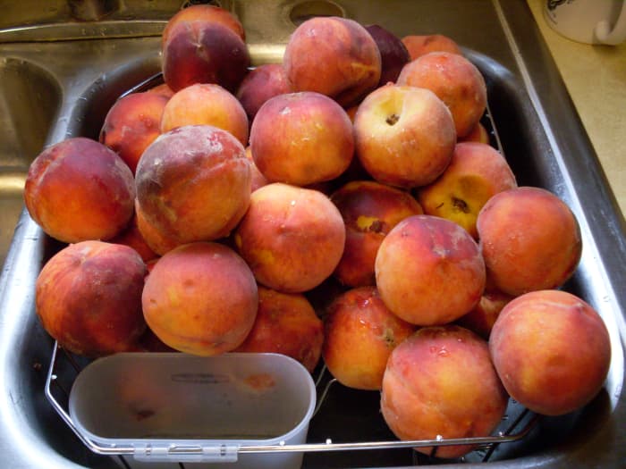 Wash whole peaches gently in a sink of water, just to remove excess dirt and matter, then set aside to drain a few minutes.
