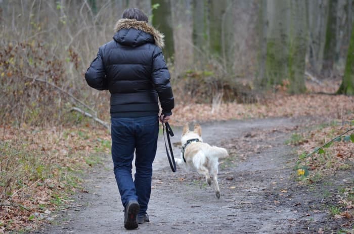 Nothing spoils a walk faster than wearing clothing that's too hot or cold. Make sure that your pet also has adequate protection during colder times.