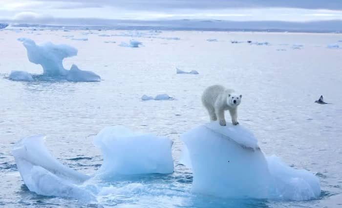 A Blue Ocean Event is when sea ice melts in the Arctic and leaves blue water in its place