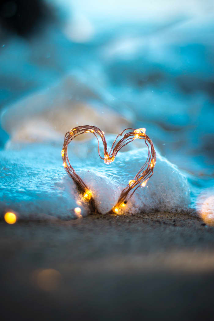 “Your task is not to seek for love, but merely to seek and find all the barriers within yourself that you have built against it.” ― Rumi