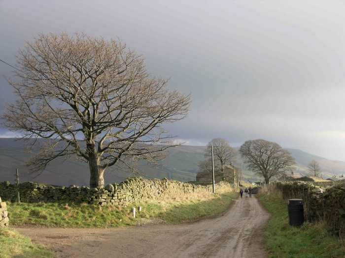 Stean in Upper Nidderdale - amazing how a little sunshine brightens up a walk