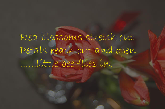 beauty is the ability to reach out to others.....