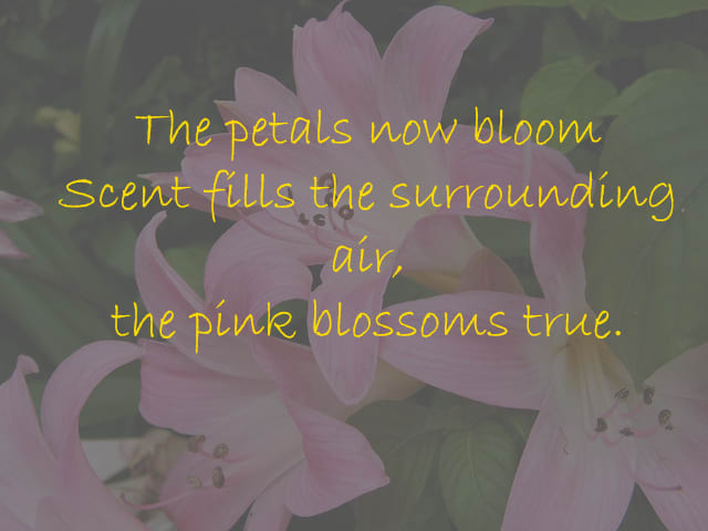 Beauty is truth and sincerity......