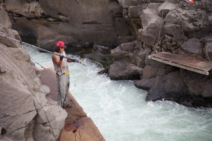 Let's go dip net fishing in Alaska. Dip net fishing on Klickitat River Courtesy Ryan Hagerty at digitalmedia.fws.gov