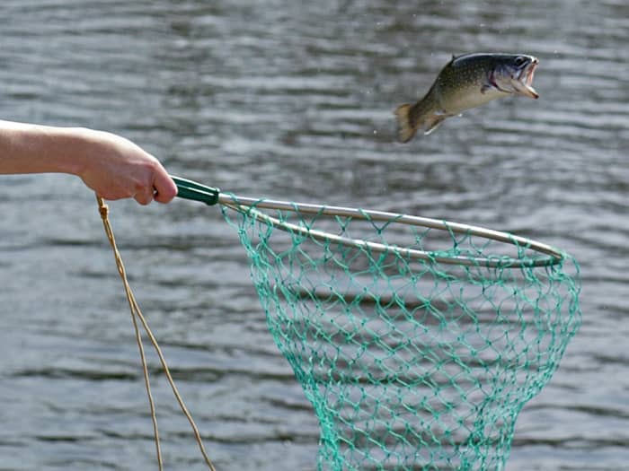 Alaska dipnetting expenses. Be sure to ask where to buy an Alaskan dip net. The one in this photo won't work for Alaskan Salmon and other common Alaskan fish. Photo Courtesy of Matthew Hull at morguefile.com