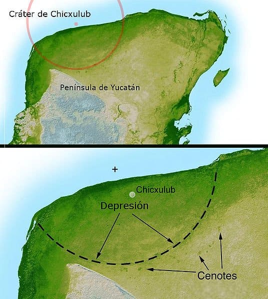 Most scientists now agree that this impact was the cause of the Cretatious-Tertiary Extinction, the event 65 million years ago that marked the sudden extinction of the dinosaurs as well as the majority of life then on Earth.