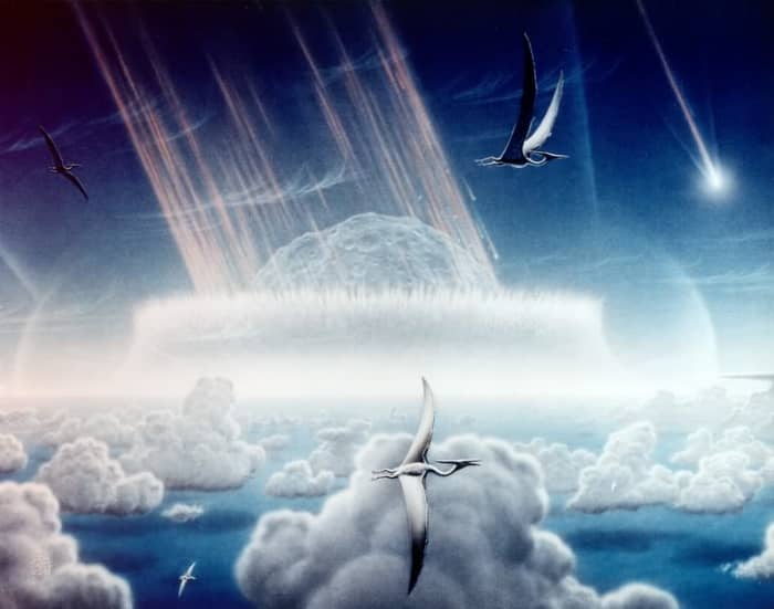 An asteroid of the magnitude and size of that which caused the extinction of the dinosaurs would unequivocally cause our extinction.