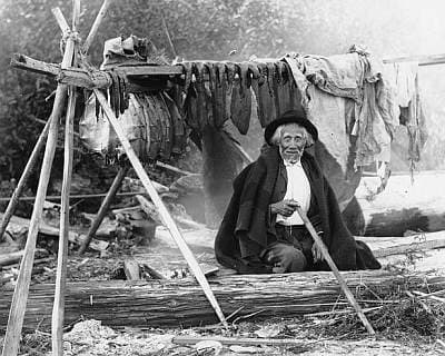 Coastal Salish: Salishan man named William We-ah-lup smoking salmon, Tulalip Indian Reservation, Washington, 1906
