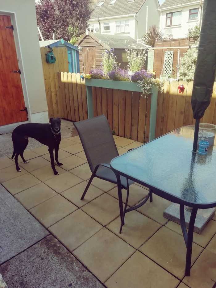 How to Build a Garden Walkway Patio by Laying Paving Slabs on Sand