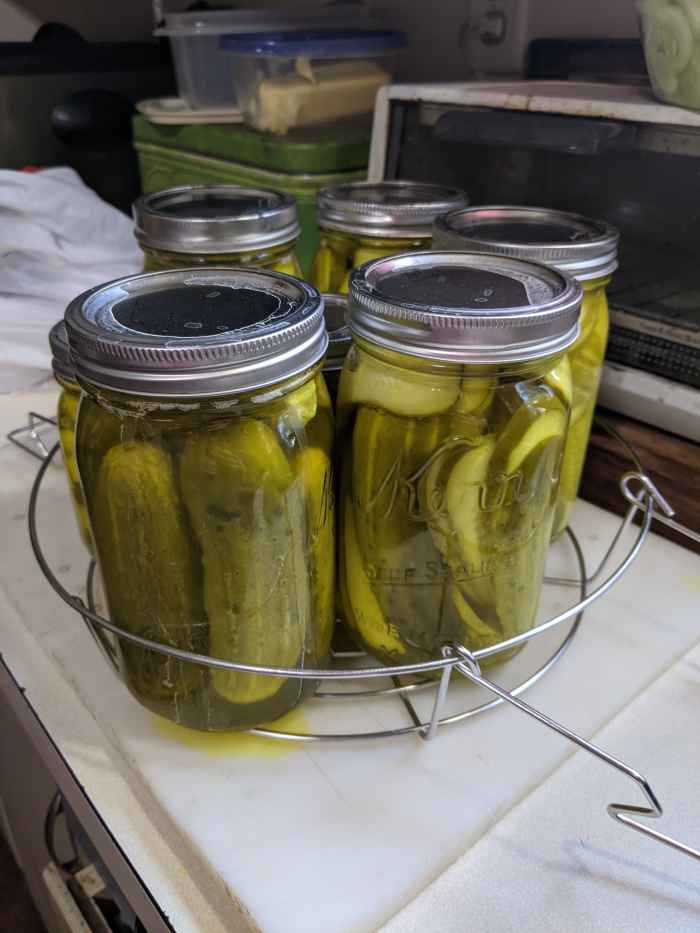Dill Pickles Canning Using Mrs. Wages HubPages