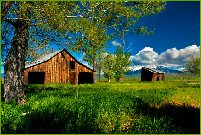 Unless Agricultural Sustainability becomes a reality, scenes such as this may not be available for future generations.