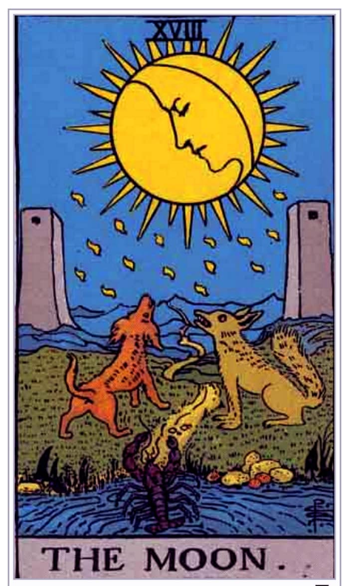 The Moon card is about your unconscious mind. You're encouraged to look into your deepest fears. Unprocessed trauma could be making rude appearances during your waking life.
