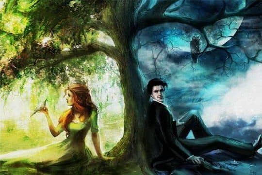 Light and dark. Life and death. Fire and ice. Spring and winter. A beginning and an ending. Love and hate. Divided, but somehow complementing one another.