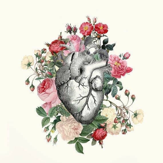 Seeds of beauty and holiness have been planted within you. The Creator would love to bring these through blossoming into fruition.