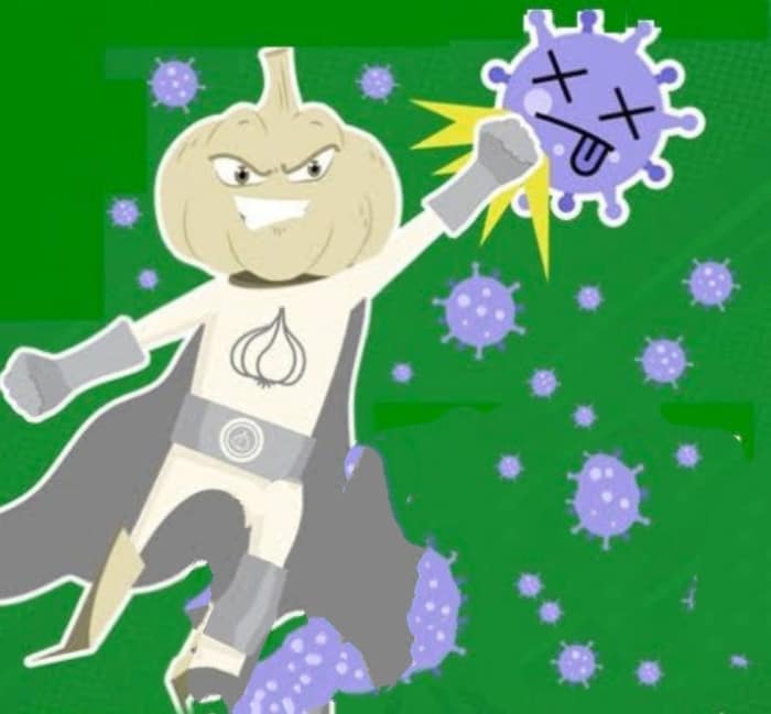 Garlic as Therapeutic Treatment Against Coronavirus (Covid19) HubPages