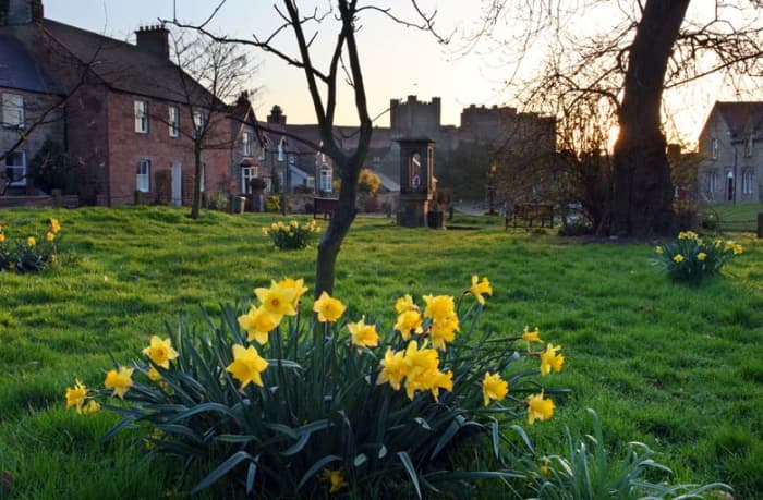 Bamburgh village green in the spring - you can't get away from the castle here