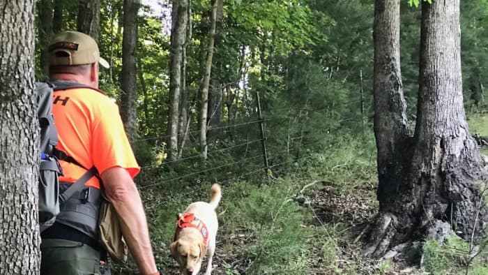The search for Summer Wells continues in the rugged terrain of Tennessee.