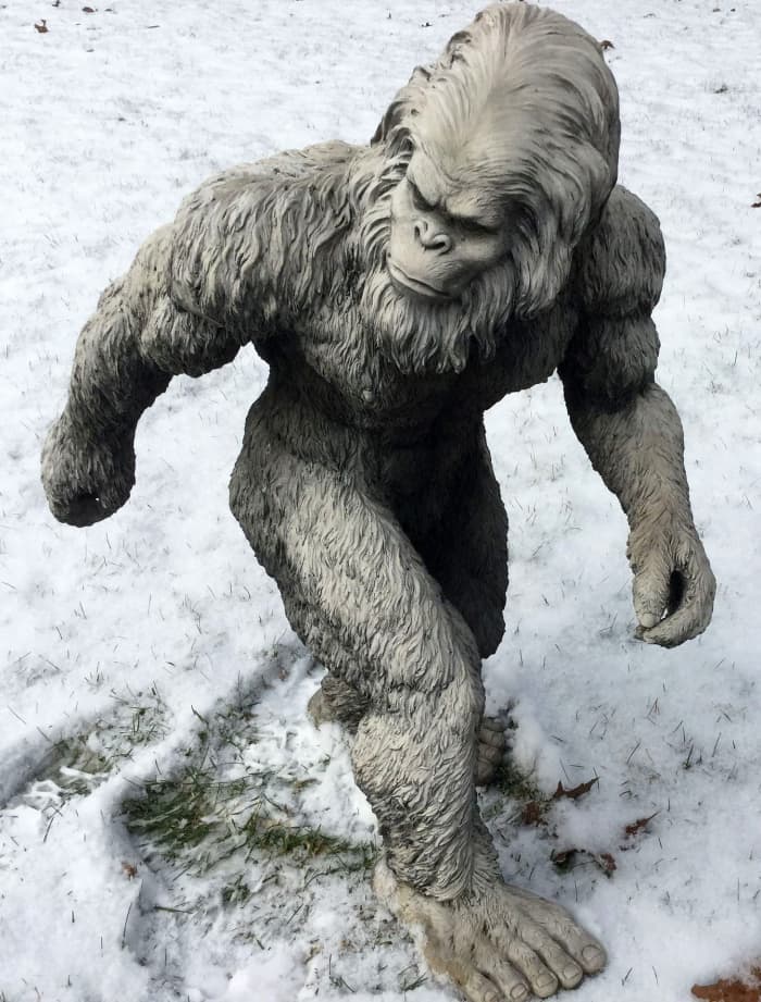Bigfoot or his Asian cousin the Yeti - that's the problem with cryptids, they don't wear name badges...