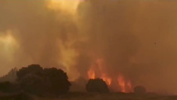 I believe that these extreme things that happen these days are due to the global warming, This photo above is one of the fire photos in Sardinia Italy, If you want to see more, click the link in the text.
