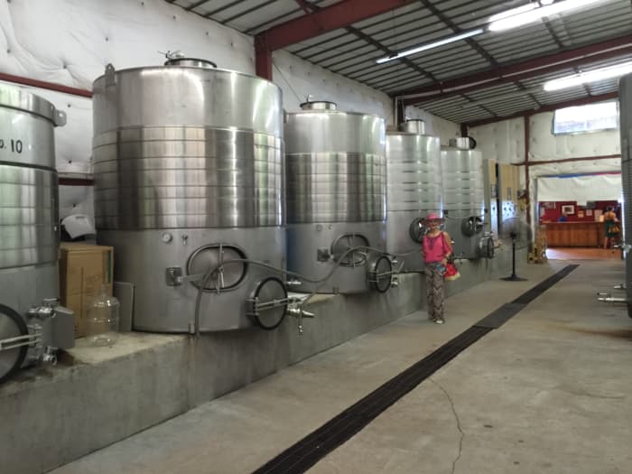My wife next to stainless steel tanks where juice of grapes is fermented into wine.