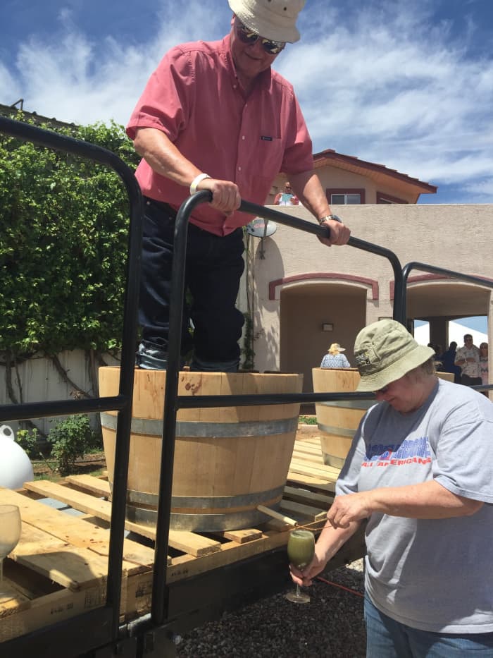 Here I am stomping grapes while keeping an eye on the bottom of the barrel to make sure drainage hole is clear of grape skins so the juice glass will fill quicker