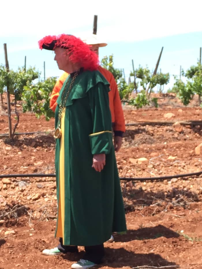 Dr. Dutt walking among the grape vines in his ceremonial outfit.