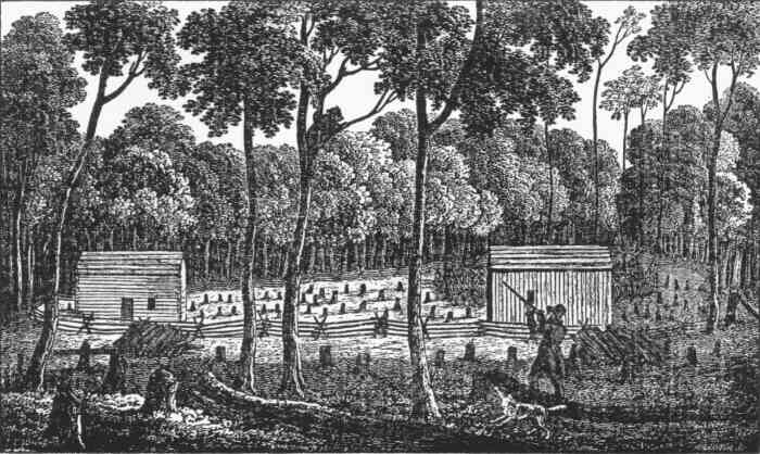 Early settlements were carved from the woods. Early homes were surrounded by stumps of felled trees.