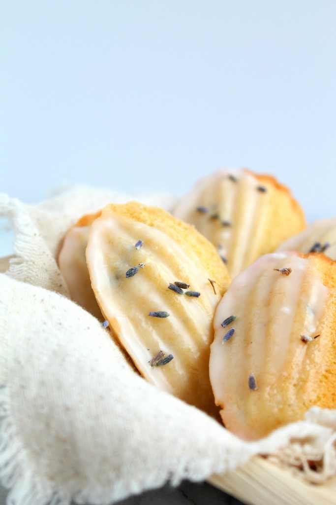 Lavender French  madeleines